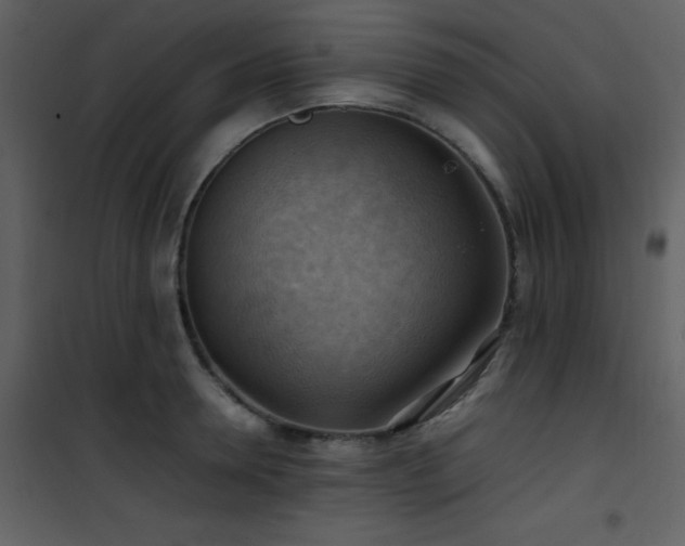 X0000102010946200807181225