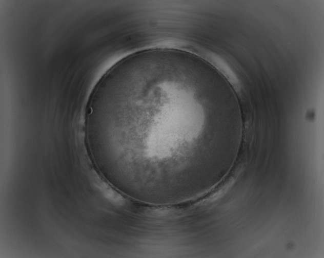 X0000102010948200807181225