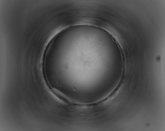 X0000102010949200807181225