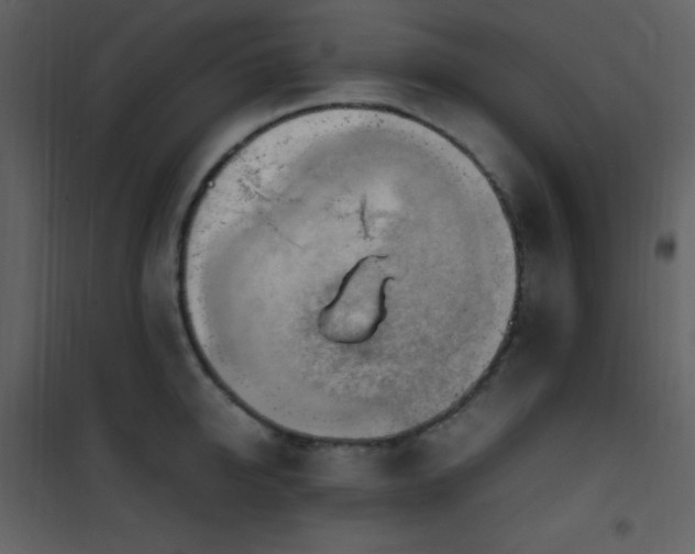 X0000102010950200807181225