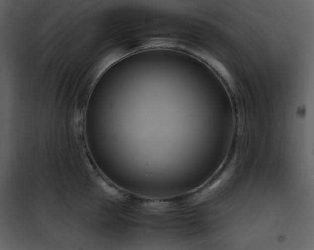 X0000102010953200807181225