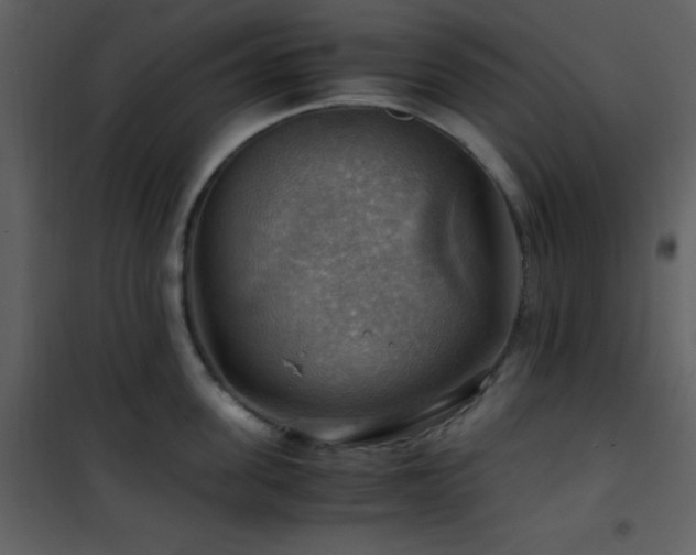 X0000102010955200807181225