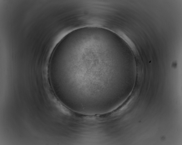 X0000102010956200807181225