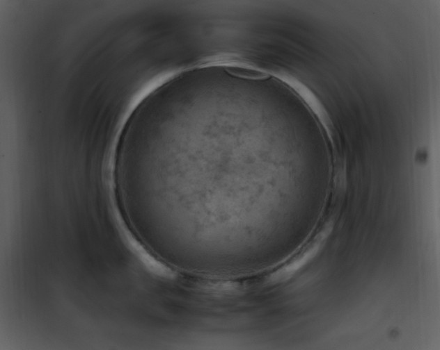 X0000102010957200807181225