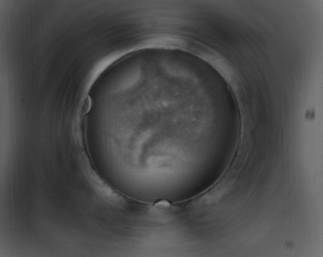 X0000102010960200807181225