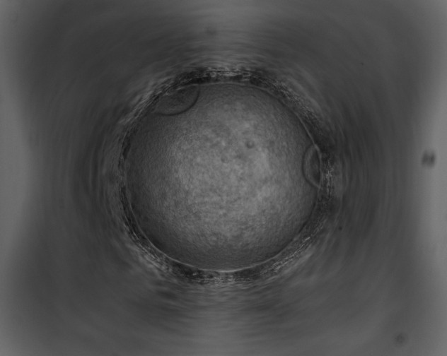 X0000102010961200807181225