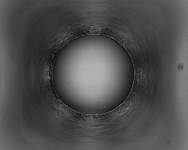 X0000102010962200807181224