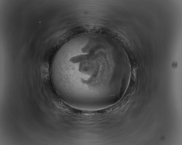 X0000102010963200807181224