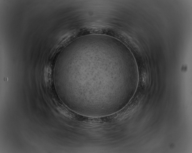 X0000102010964200807181224