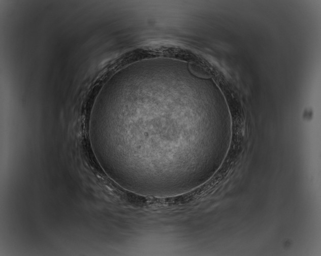 X0000102010965200807181224