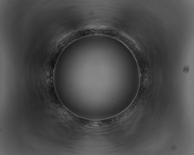 X0000102010966200807181224
