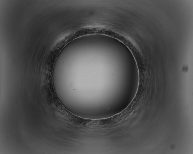 X0000102010967200807181224
