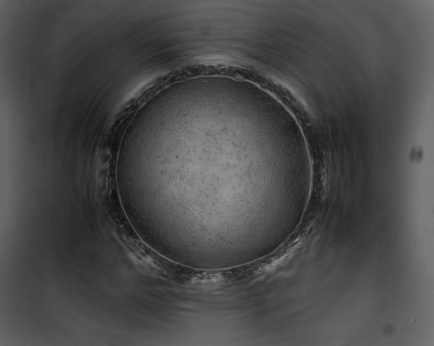 X0000102010968200807181224