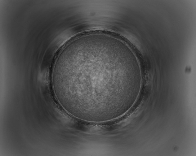 X0000102010969200807181224