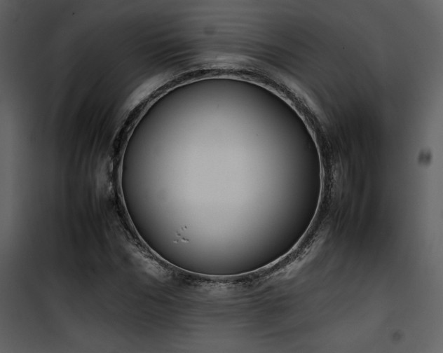 X0000102010970200807181224