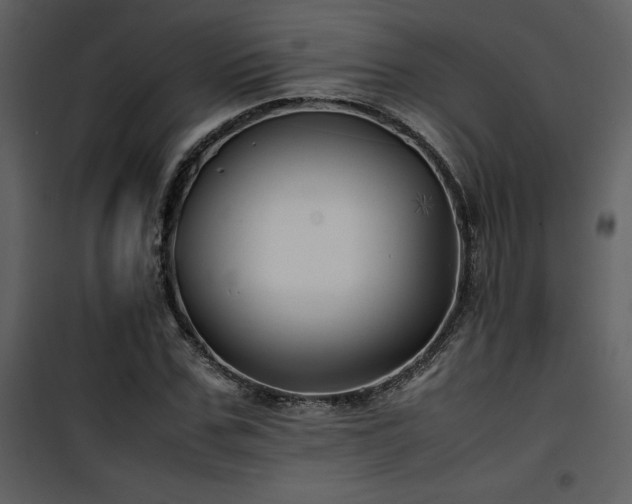 X0000102010971200807181224