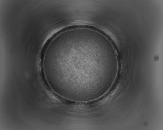 X0000102010973200807181224