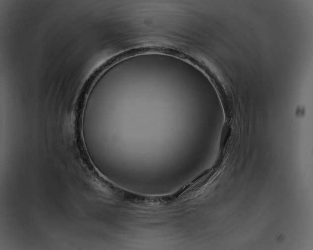 X0000102010975200807181224