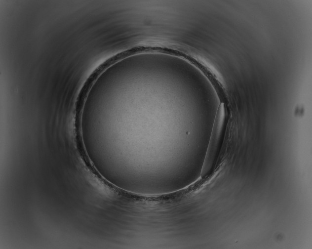 X0000102010976200807181224