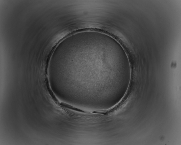 X0000102010977200807181224