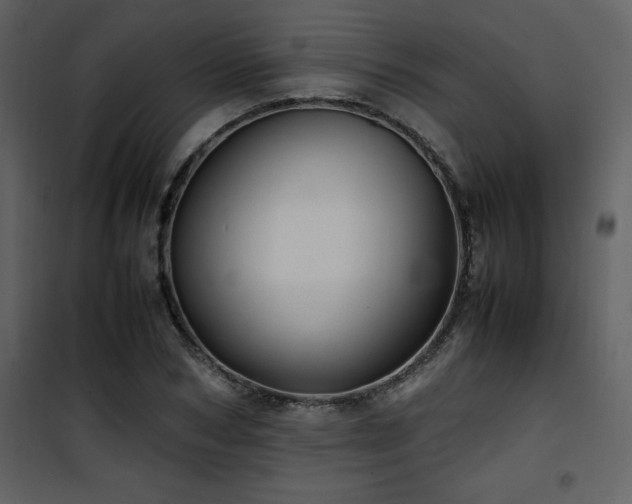X0000102010978200807181224