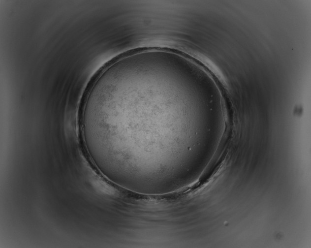 X0000102010980200807181224