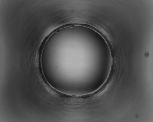 X0000102010981200807181224