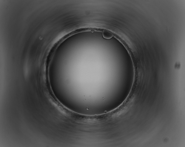 X0000102010982200807181224