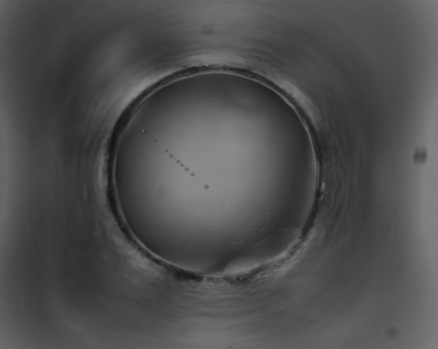 X0000102010983200807181224