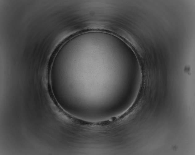 X0000102010984200807181224