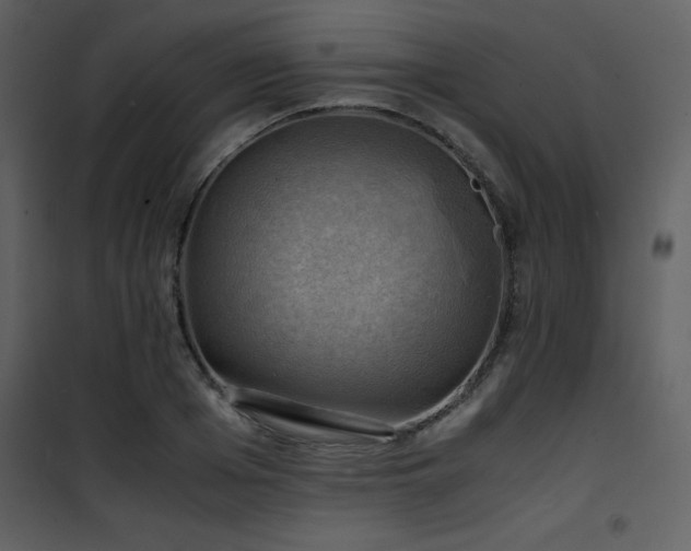 X0000102010985200807181224