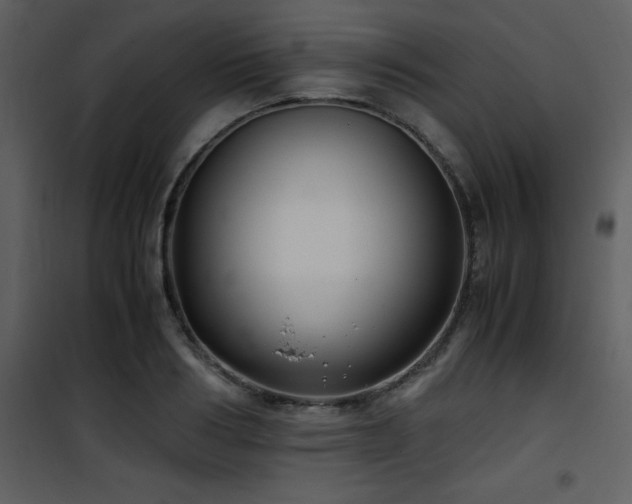 X0000102010986200807181224