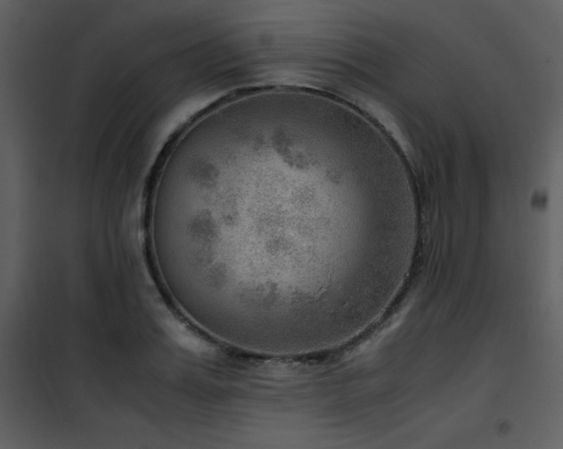 X0000102010987200807181224