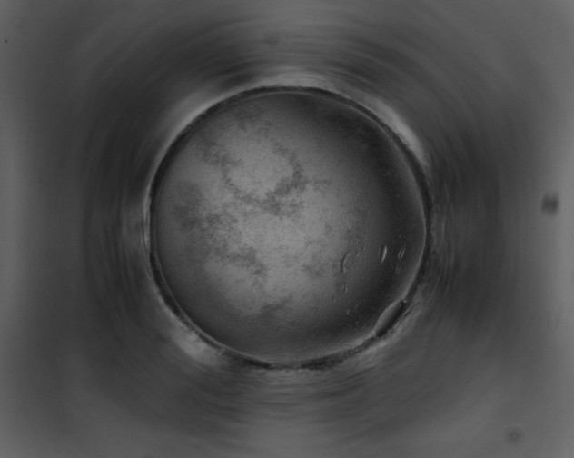 X0000102010988200807181224