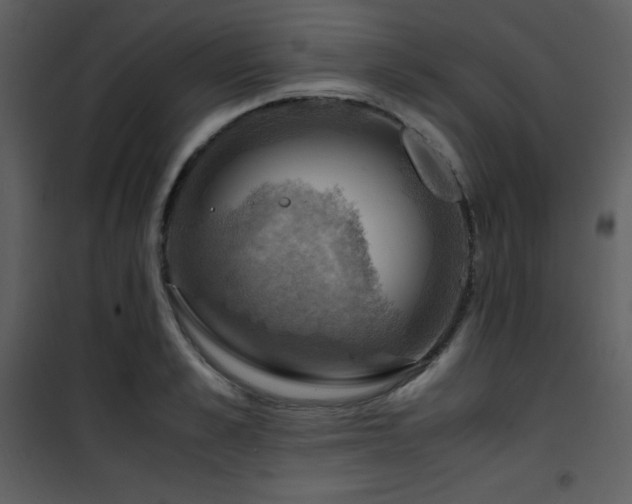 X0000102010989200807181224