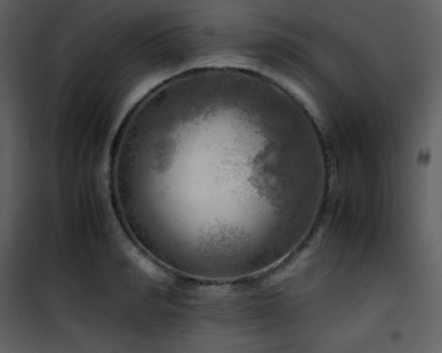 X0000102010990200807181224