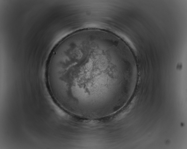 X0000102010991200807181224