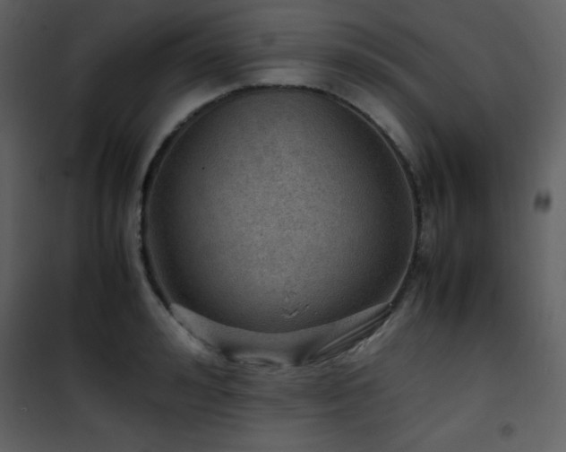 X0000102010992200807181224