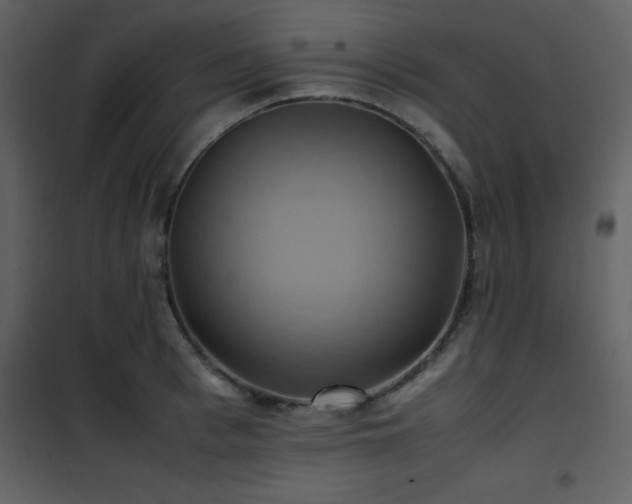 X0000102010993200807181224