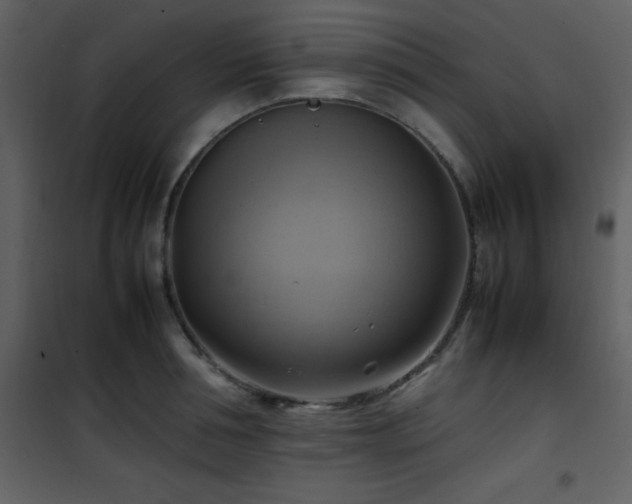 X0000102010994200807181224