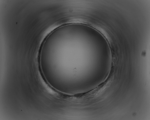 X0000102010995200807181224