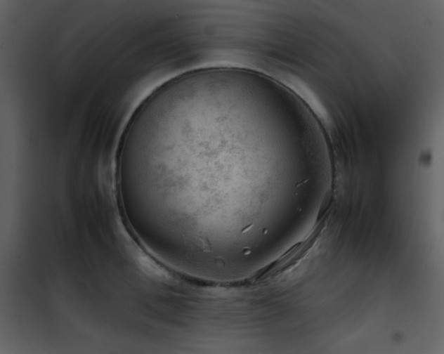 X0000102010996200807181224