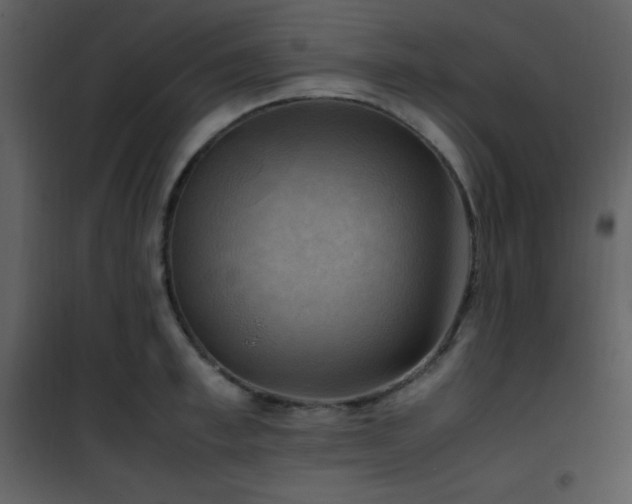 X0000102010997200807181224
