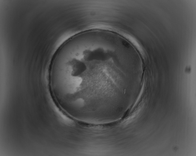 X0000102010999200807181224