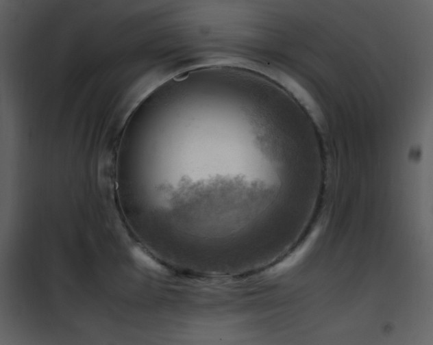 X0000102011001200807181224
