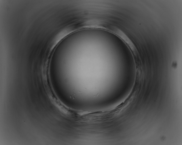 X0000102011002200807181224