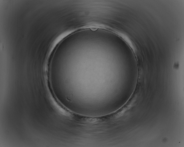 X0000102011003200807181224