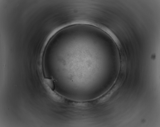 X0000102011004200807181224
