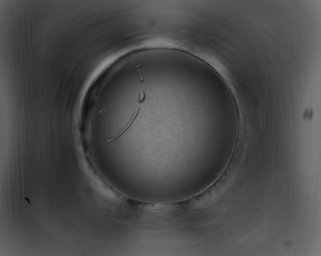 X0000102011008200807181224