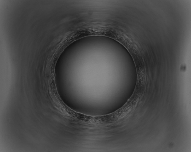 X0000102011009200807181223